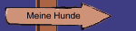 Meine Hunde