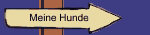 Meine Hunde
